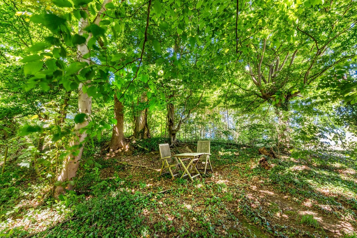 Marinus & Partners - MT100910 - 11