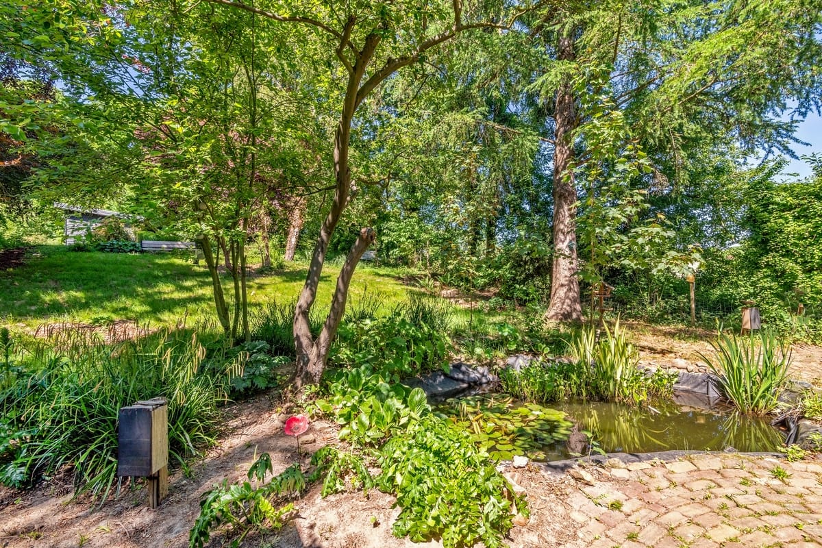 Marinus & Partners - MT100910 - 12