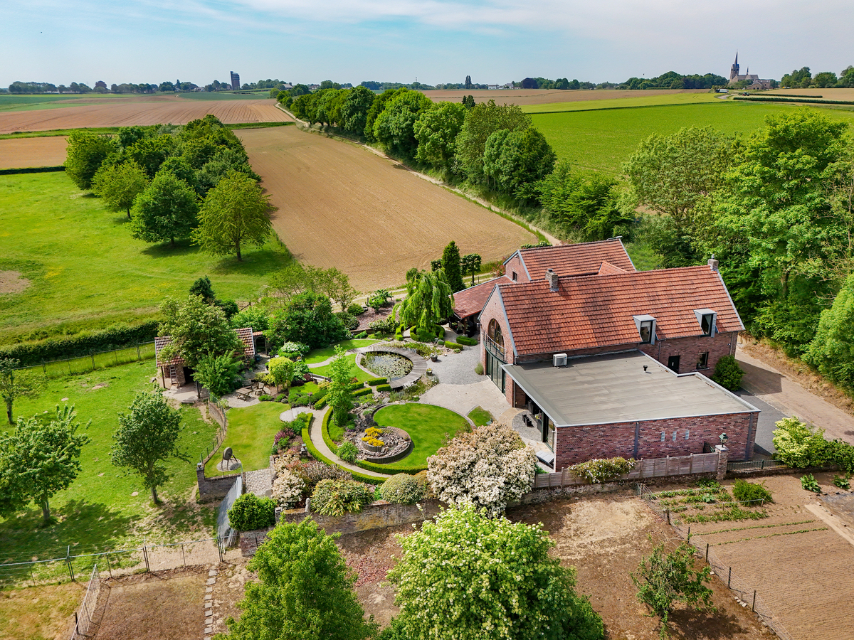 Marinus & Partners - MT100850 - 04