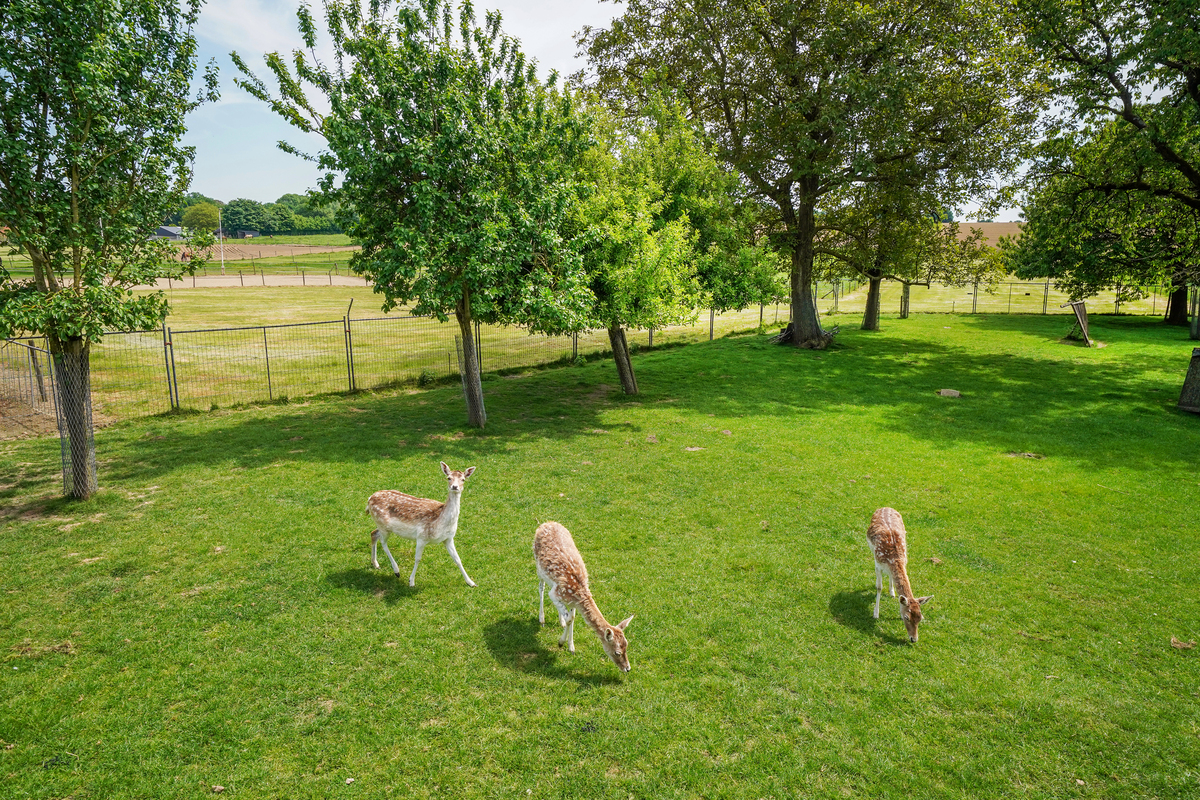 Marinus & Partners - MT100850 - 31