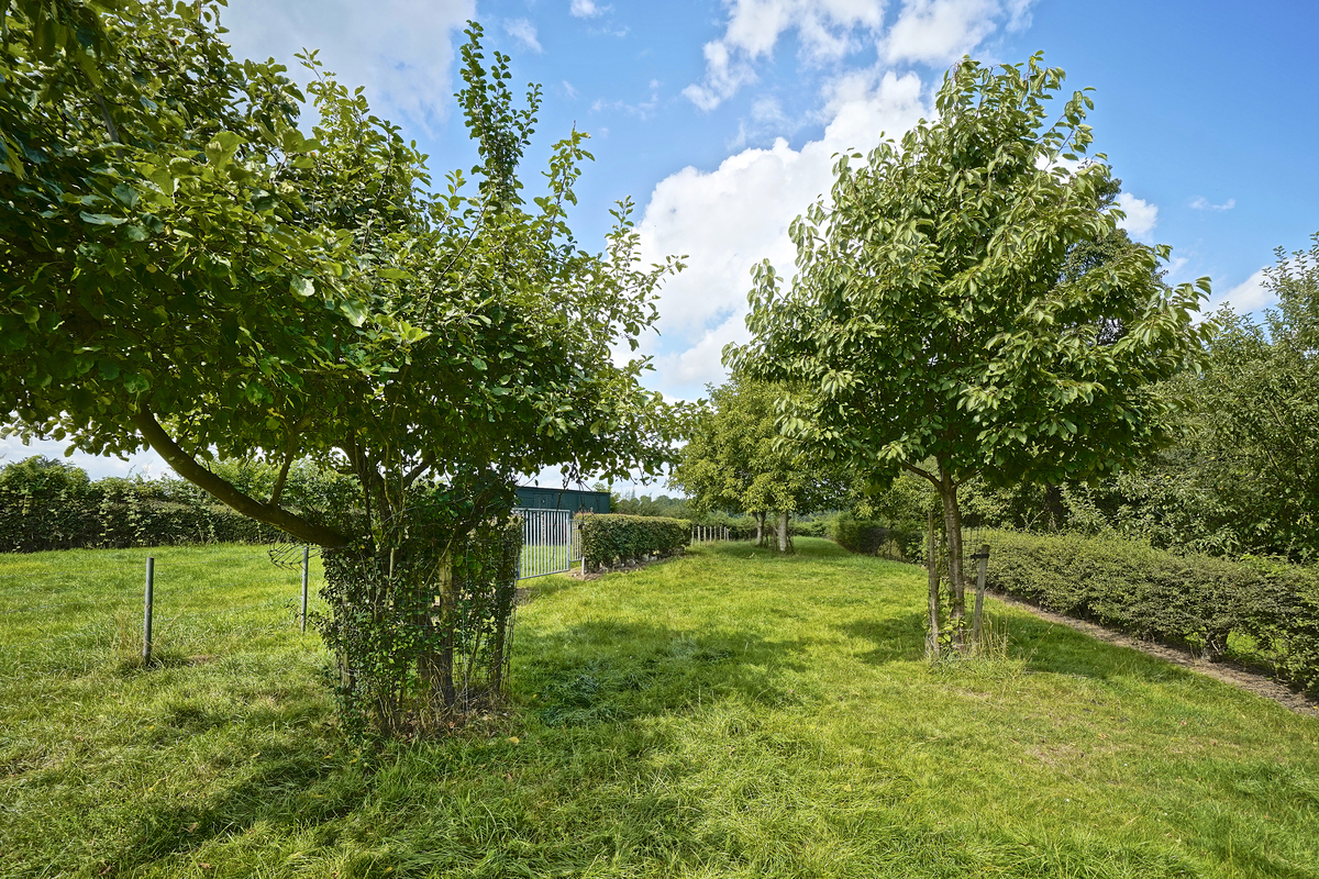 Marinus & Partners - MT100907 - 16