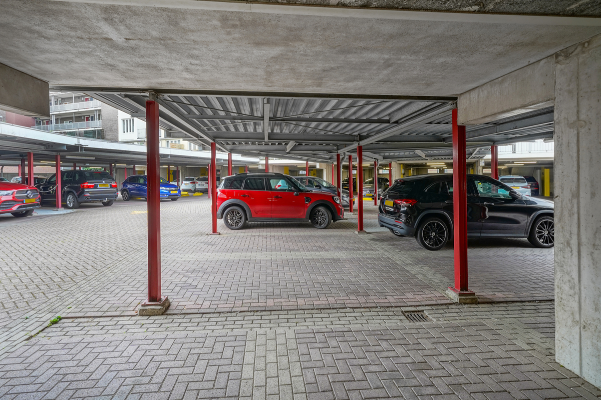 Marinus & Partners - MT101021 - 04