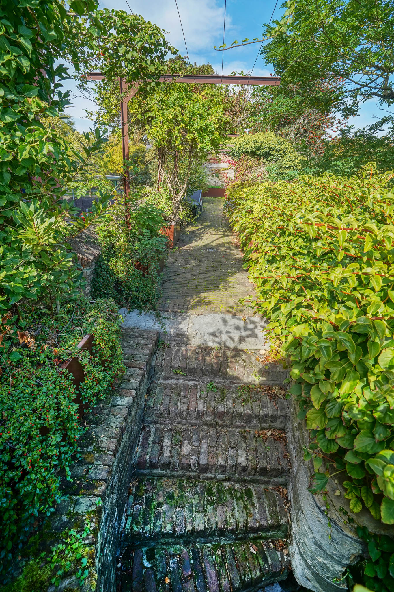 Marinus & Partners - MT100898 - 13