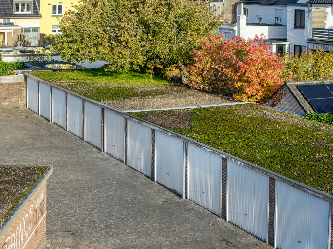 Marinus &amp; Partners - MT101034 - 02